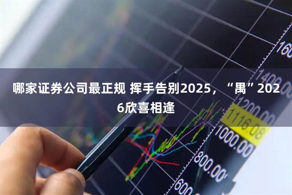 哪家证券公司最正规 挥手告别2025，“禺”2026欣喜相逢